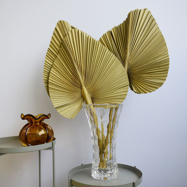 Arranjo De Latânia Natural Desidratada No Vaso De Vidro |  Fo